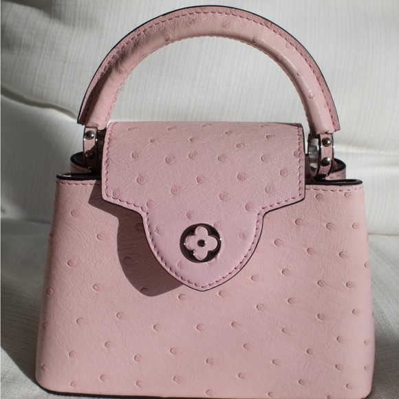 Louis Vuitton Pink Mini Capucine - Picture 8 of 15